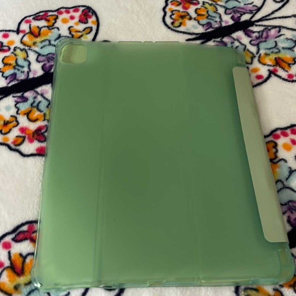Sage colored iPad Pro case
